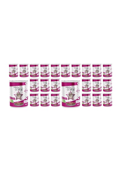 Yetişkin Kedi Biftekli Ve Jöleli Konserve Mama 400 Gr X 12 Adet 2 Paketi