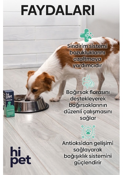 Hipet Sıvı Probiyotik Köpek   Probiyotik 50 ML