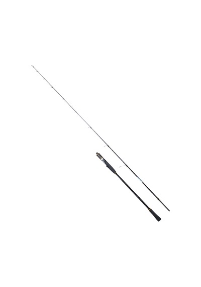 Ryujı Ocean Soul Fujı 1.80m 20-60gr 2p Slow Jıg Kamış Standart