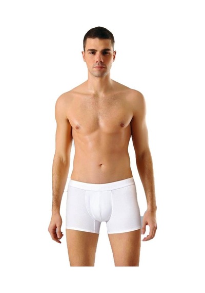 Anıt Erkek Modal Boxer Renk Seçenekli 1250