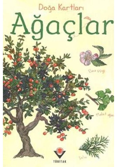Doğa Kartları - Ağaçlar - Glob-656607