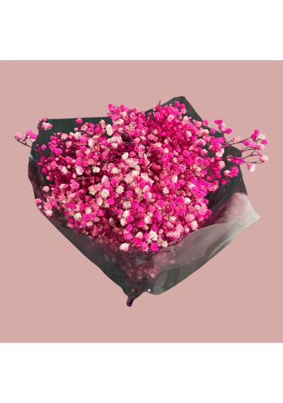 Şoklanmış Kurutulmuş Cipso Çiçeği 1 Demet 50-60gr - 35-45cm Pembe