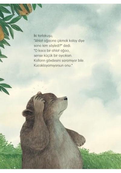 Küçük Ayı İle Ahlat Ağacı Karton Kapak