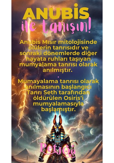 Petjoo 30.Anubis Pembe-Sarı Qr'lı Köpek Künyesi
