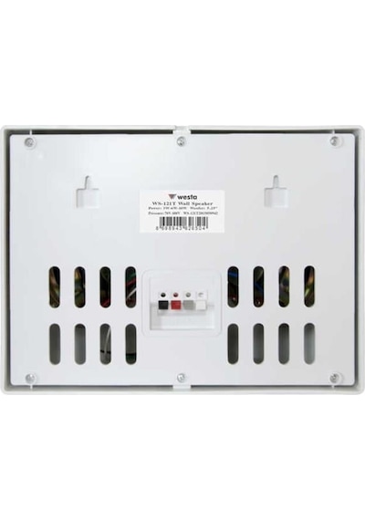 Powermaster Westa Ws-121t Beyaz 12 Cm Çift Yönlü 10 Watt 70-100v Trafolu Sütun Hoparlör
