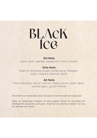 Carpex Black Ice A1 Koku Kartuşu 200 ML