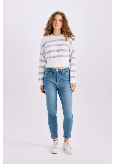 DeFacto Regular Fit Çizgili Bisiklet Yaka Triko Kazak R1285AZ24CWPR68 Mor