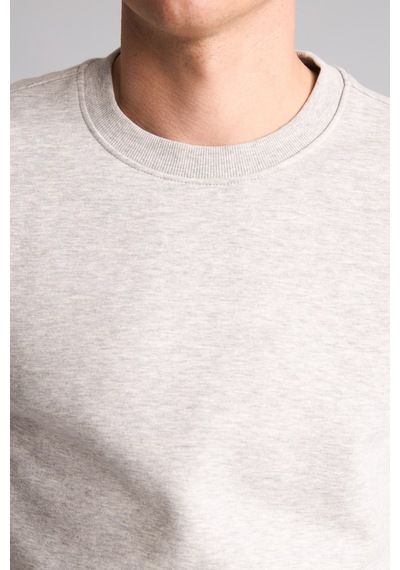 Defacto Regular Fıt Bisiklet Yaka Basic Sweatshırt H5180ax26augr210 Gri-gr210