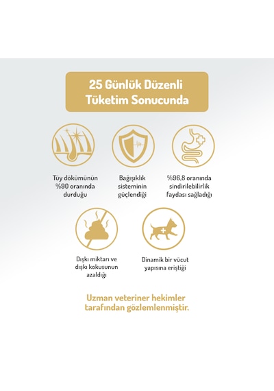 Felicia Düşük Tahıllı Kuzu Etli Yetişkin Köpek Maması 3 KG