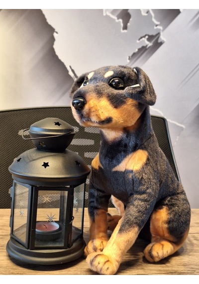 Sevimli Doberman Köpeği 35cm Siyah