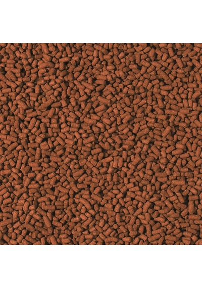 Tropıcal Shrimp Stıcks 250 Gram Açık Karides Yemi