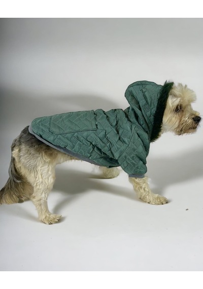 Kemique Green Comfie Köpek Montu Ceketi Köpek Dış Giyim