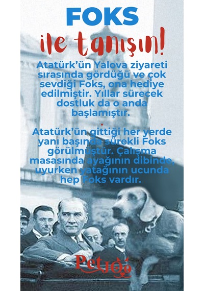 Petjoo 29.Foks Kırmızı-Mavi Qr'lı Köpek Künyesi