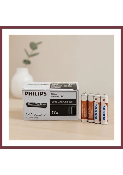 Storeşahin Aaa İnce 1.5v Pil 48'li Paket Shn0720