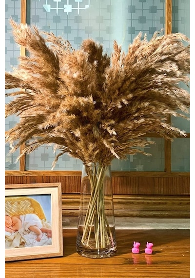 Alyones 10 Adet Kabarık Pampas Otu 100cm Doğal Kuru Pampas Dekor Boho Oda Çiçekleri Dekorasyonu