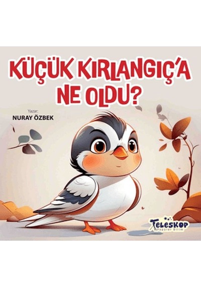 Teleskop, Küçük Kırlangıç'a Ne Oldu