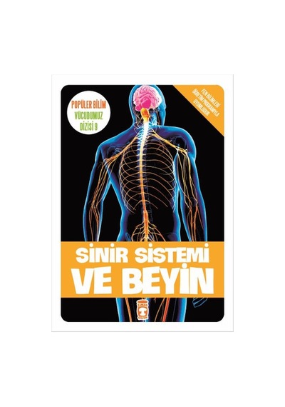 Popüler Bilim Vücudumuz Dizisi - Sinir Sistemi ve Beyin - Sema Gül - Timaş Çocuk