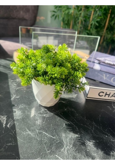 Yapay Çiçek Beyaz Saksıda Lotus Dekoratif Masa Çiçeği 15cm