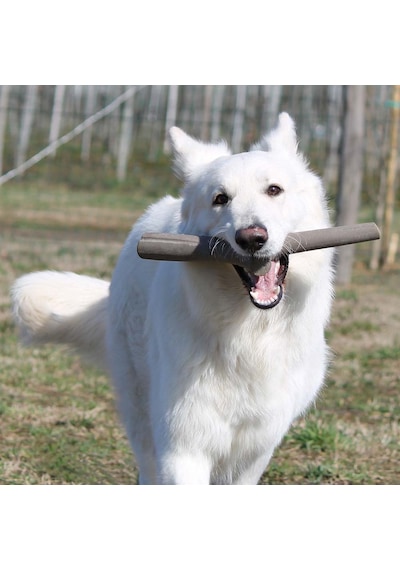 İkili Baby Köpek Oyuncağı Mavi