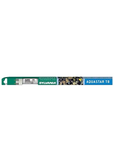 T8 Floresan Lamba, G13 Duy, 18 Watt / 900 Lümen, Aquastar 10000k , 10000 Saat Kullanım Ömrü, Doğrusal Şekil, 26 M