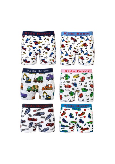 Hepsine Rakip 6 Lı Erkek Çocuk Desenli Boxer Empirme Baskılı Pamuklu Çok Renkli