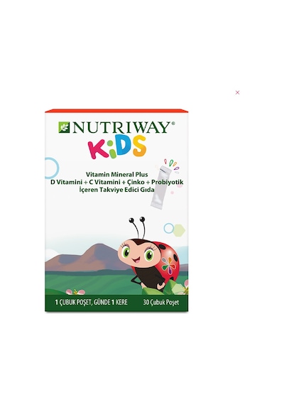 Amway Kids Vitamin Mineral Plus 30 Şase