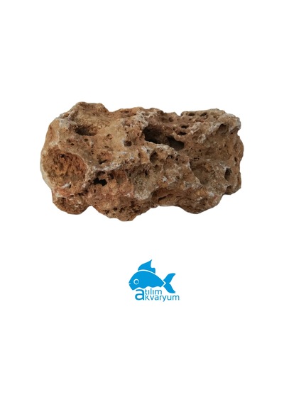 Atılım Akvaryum Falez Taşı Akvaryum Dekoru Küçük Boy Falez 1-2 KG