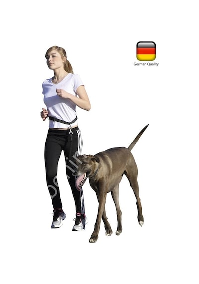 Köpek Koşu Tasması Active