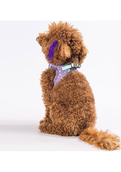 Air-mesh Ice Cream Köpek Göğüs Tasması M