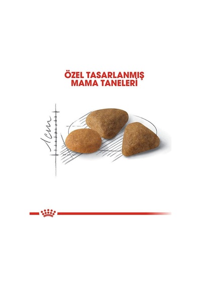 Royal Canin Fussy Exigent Seçici Kedilere Özel Kedi Maması 4 Kg