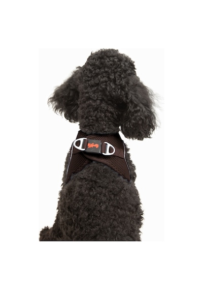 Air-Mesh Küçük ve Orta Irk Kedi Köpek Göğüs Tasması - Yumuşak, Nefes Alabilir, Dayanıklı KAHVRENGİ 2XS Air-Mesh Küçük ve Orta Irk Kedi Köpek Göğüs Tasması - Yumuşak, Nefes Alabilir, Dayanıklı KAHVRENGİ 2XS