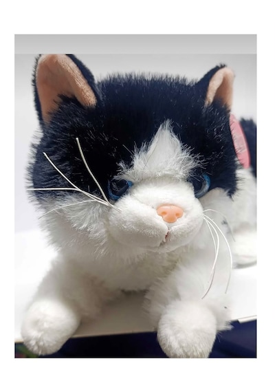 Oyuncak Pilli Sesli Peluş Kedi 35 Cm Gerçekçi Miyavlayan Yumuşak Dokulu Çocuk Oyuncağı Siyah