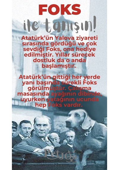 Petjoo 29.Foks Gri-Kırmızı Qr'lı Köpek Künyesi