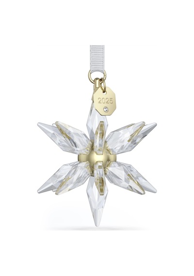 5701506 Swarovski Ev Dekorasyonu Annual Edıtıon:ornament 3d 2025