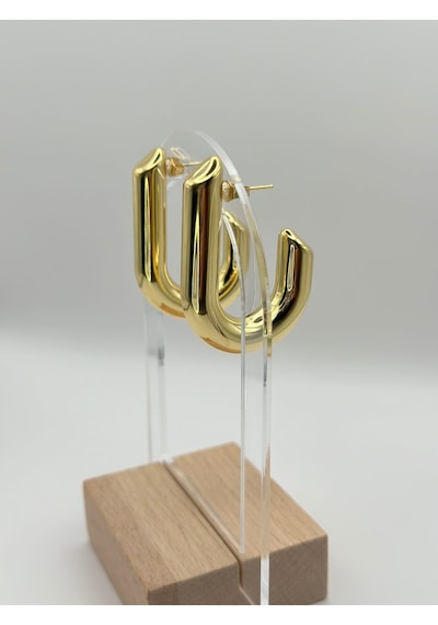 Arnes Jewelry Çelik Gold Küpe Ar337nes Gold