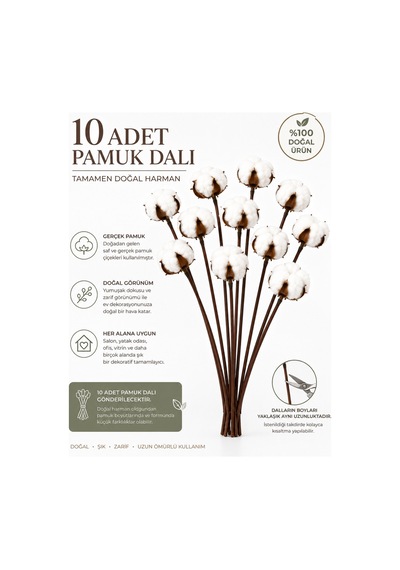 10 Adet Doğal Pamuk Dalı,30-32 Cm Gerçek Pamuk Çiçeği,dekoratif Kuru Çiçek Demeti Beyaz