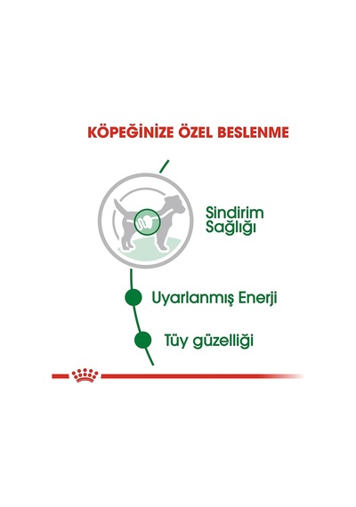 Royal Canin Mini Adult Soslu Konserve Küçük Irk Yetişkin Köpek Maması 6 x 85 G