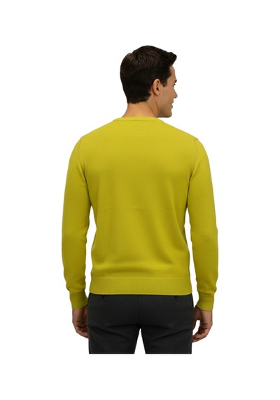 Raymons Erkek Spor Sıfır Yaka Regular Fit Kazak Bgl-st04953 Safran
