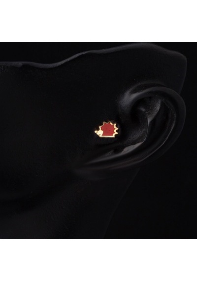 Bilezikci  14 Ayar Altın Kırmızı Tragus Küpe Kphsy14k22489 Sarı