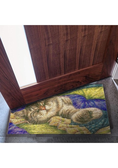 Tasarımlı Dekoratif Kapı Önü Paspas, Dış Mekan/ev İçi/banyo/mutfak/yatak Odası/giriş Paspasları Pastel Boya Çok Renkli