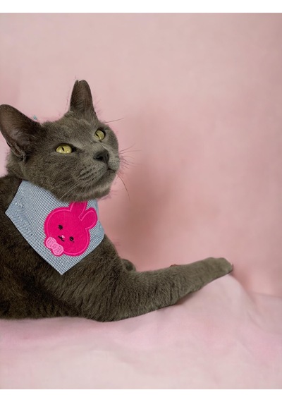 Kemique Pink Bunny Bandana Fular Kedi Kıyafeti