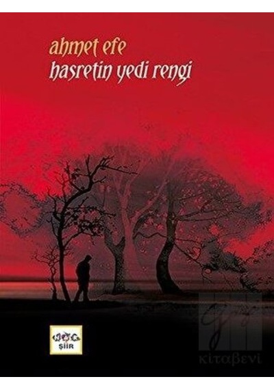Hasretin Yedi Rengi - Ahmet Efe - Nar Yayınları