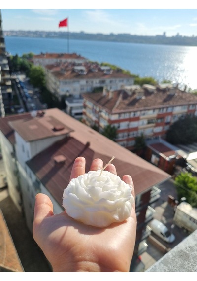 Bernami Vazo Pinterest 2 Li Mum Dekoratif Şakayık Çiçeği Kokulu Mum Diğer