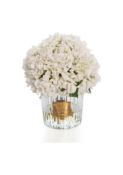 Gold Ortanca Luxury Home Perfume Rose