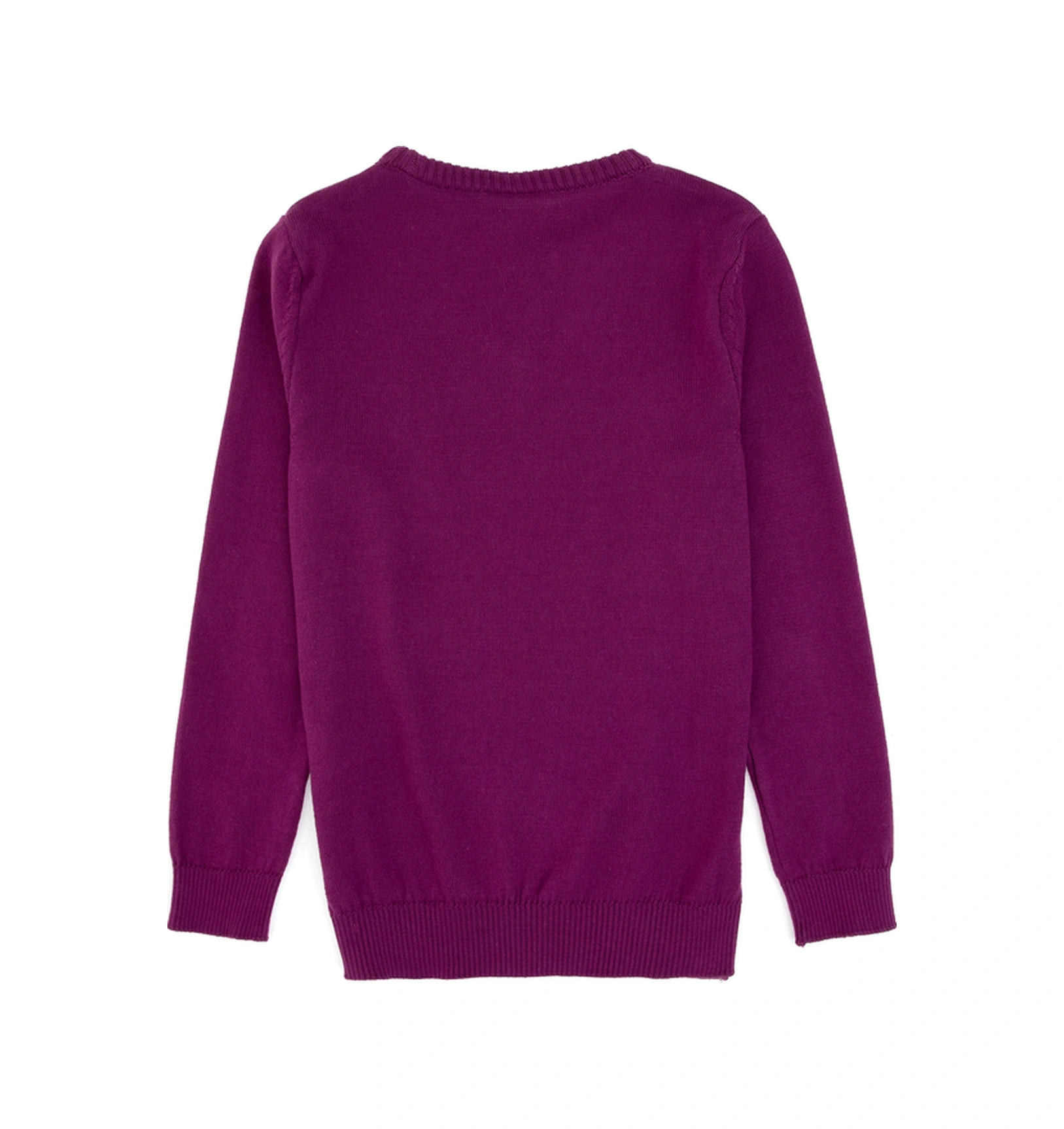 U.S. Polo Assn. Kız Çocuk Menekşe Bisiklet Yaka Basic Kazak 50313081-VR037
