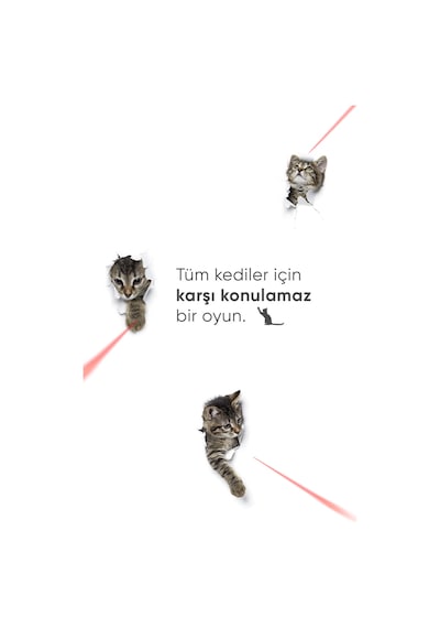 Şımart Akıllı Kedi Oyuncağı