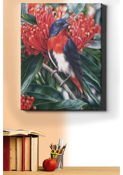 Webstyle Sayılarla Boyama Seti Kasnaklı Daldaki Kuş 40 X 50 Cm