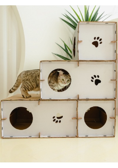 Catssle Kedi Oyun Evi Ve Tüneli Modüler 3 Katlı Karton