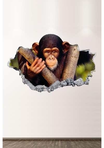 Maymun Full Hd Modern Salon Ve Oturma Odası Duvar Sticker