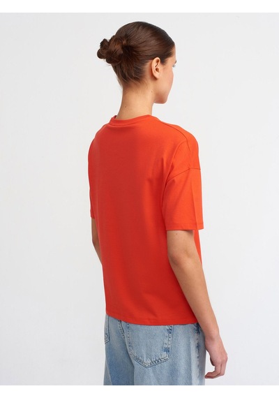 Dilvin Bisiklet Yaka Kısa Tshirt Füme